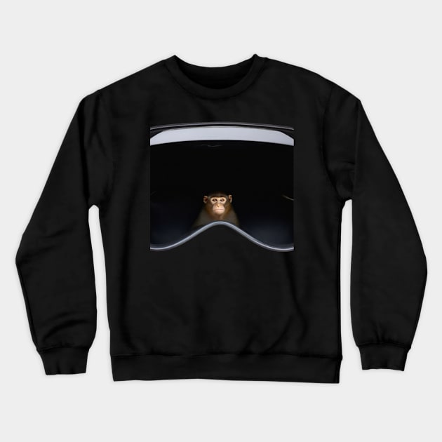 Vision Monkey Crewneck Sweatshirt by CurlyLamb